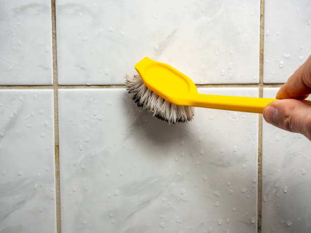 Best Affordable Mold Removal  in Adair Village, OR