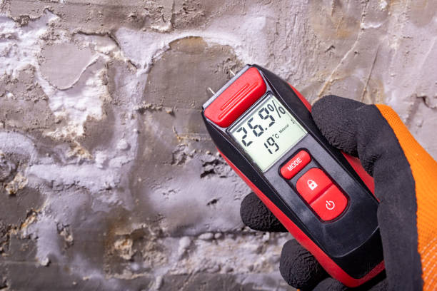 Best Home Mold Removal  in Adair Village, OR