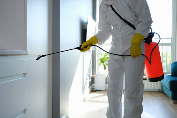 Best Certified Mold Removal  in Adair Village, OR