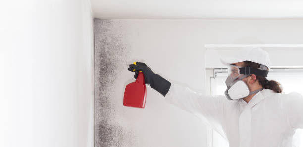 Best Fast Mold Removal  in Adair Village, OR