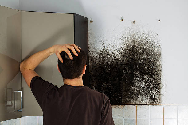 Best Mold Testing  in Adair Village, OR